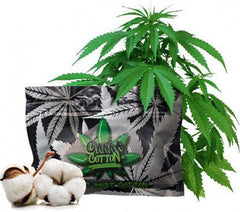 Canna Cotton | Orgagnic